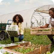 Agrodott Dottcapital Agriculture Development Farming Industrial