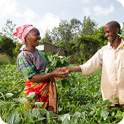 Agrodott Dottcapital Agriculture Development Farming Industrial