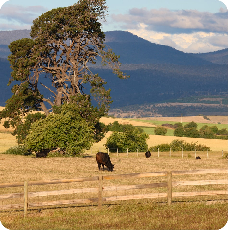 Agrodott Dottcapital Agriculture Development Farming Industrial