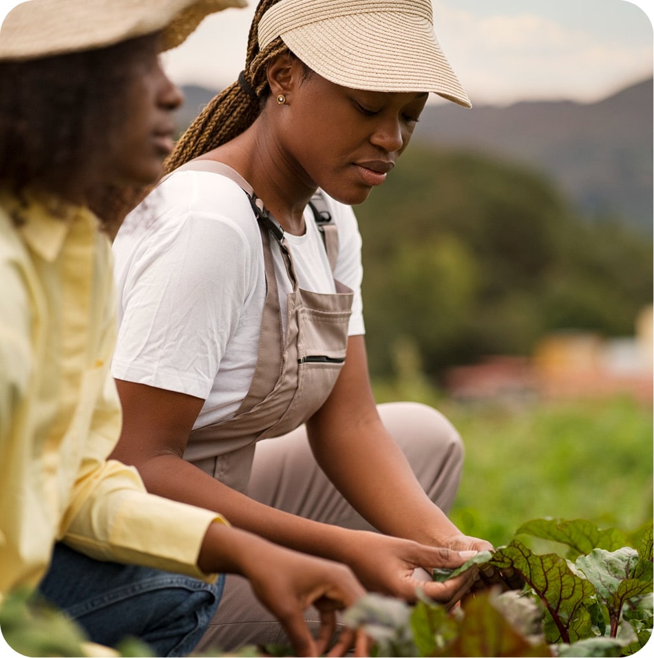 Agrodott Dottcapital Agriculture Development Farming Industrial